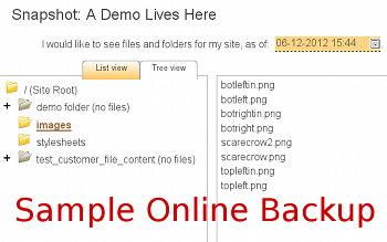 website backup snapshot